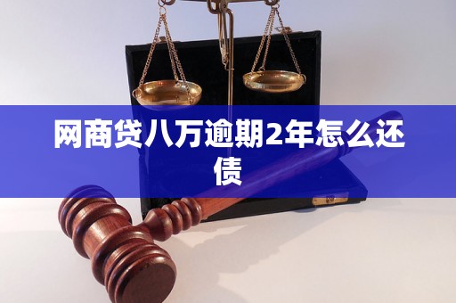 网商贷八万逾期2年怎么还债