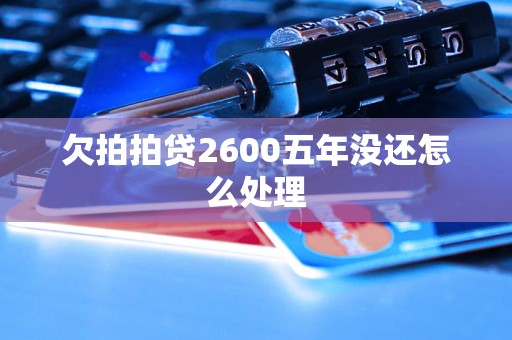 欠拍拍贷2600五年没还怎么处理