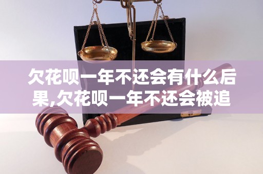 欠花呗一年不还会有什么后果,欠花呗一年不还会被追偿吗