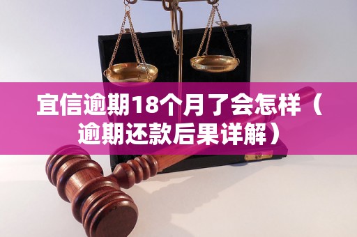 宜信逾期18个月了会怎样（逾期还款后果详解）