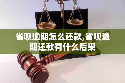 省呗逾期怎么还款,省呗逾期还款有什么后果