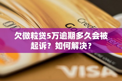 欠微粒贷5万逾期多久会被起诉？如何解决？