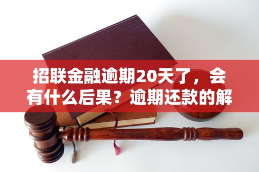 招联金融逾期20天了，会有什么后果？逾期还款的解决办法有哪些？