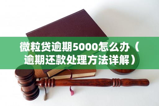 微粒贷逾期5000怎么办（逾期还款处理方法详解）