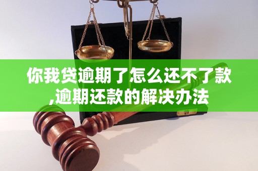 你我贷逾期了怎么还不了款,逾期还款的解决办法