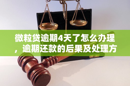 微粒贷逾期4天了怎么办理，逾期还款的后果及处理方法