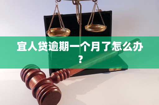 宜人贷逾期一个月了怎么办？