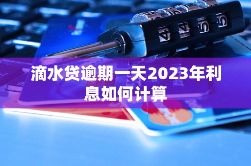 滴水贷逾期一天2023年利息如何计算