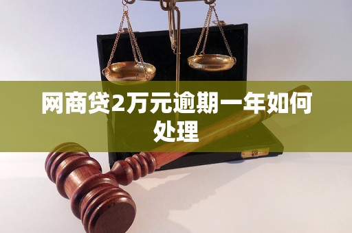 网商贷2万元逾期一年如何处理