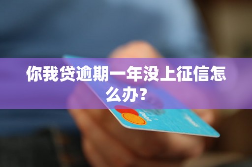 你我贷逾期一年没上征信怎么办？