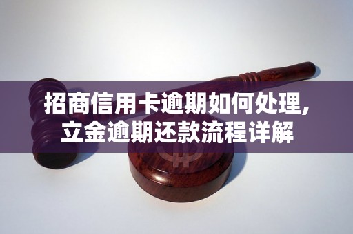 招商信用卡逾期如何处理,立金逾期还款流程详解