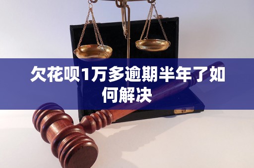 欠花呗1万多逾期半年了如何解决