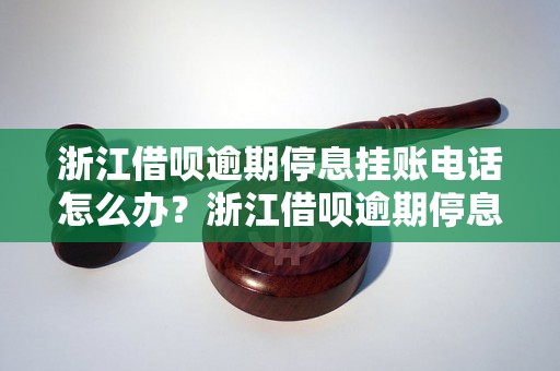 浙江借呗逾期停息挂账电话怎么办？浙江借呗逾期停息挂账电话怎么联系？