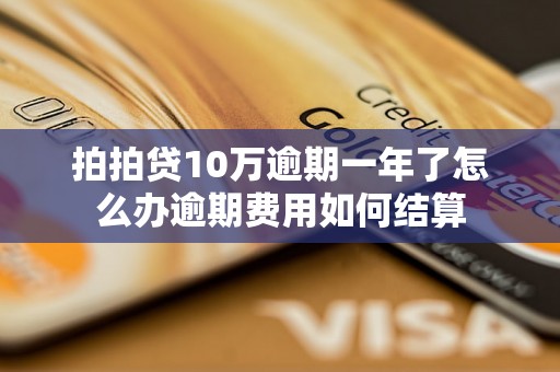 拍拍贷10万逾期一年了怎么办逾期费用如何结算