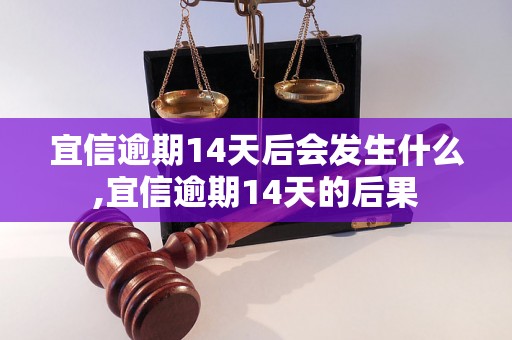 宜信逾期14天后会发生什么,宜信逾期14天的后果