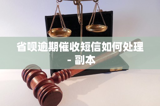 省呗逾期催收短信如何处理 - 副本