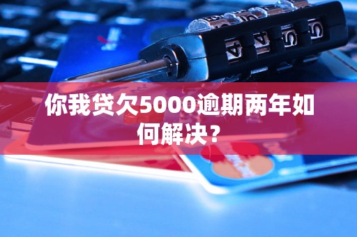 你我贷欠5000逾期两年如何解决？