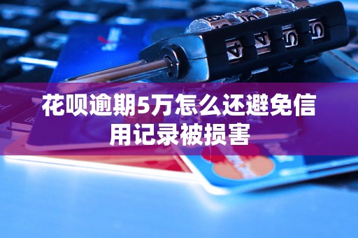 花呗逾期5万怎么还避免信用记录被损害