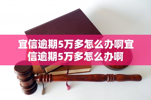 宜信逾期5万多怎么办啊宜信逾期5万多怎么办啊