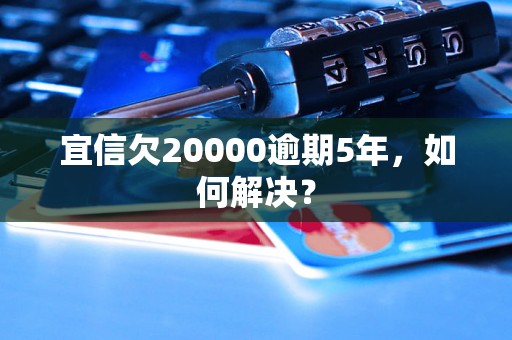 宜信欠20000逾期5年，如何解决？