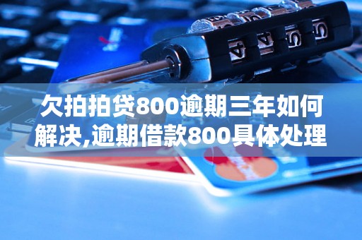 欠拍拍贷800逾期三年如何解决,逾期借款800具体处理办法