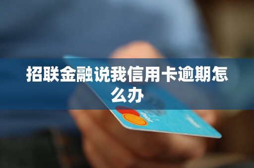 招联金融说我信用卡逾期怎么办