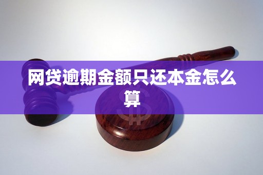 网贷逾期金额只还本金怎么算