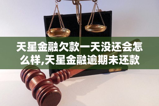 天星金融欠款一天没还会怎么样,天星金融逾期未还款后果