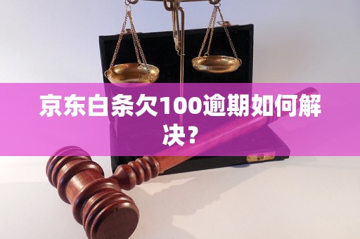 京东白条欠100逾期如何解决？