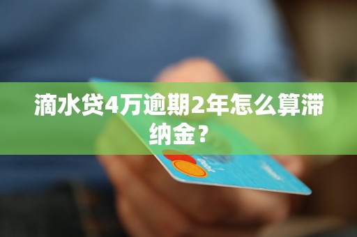 滴水贷4万逾期2年怎么算滞纳金？