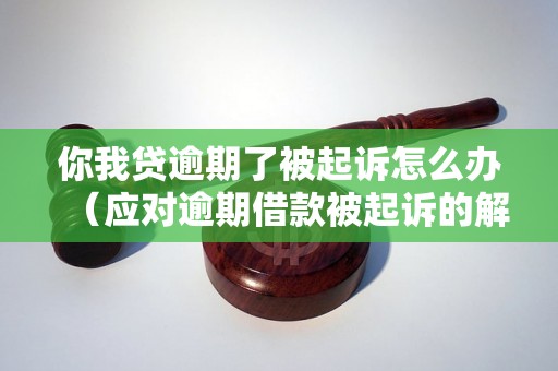 你我贷逾期了被起诉怎么办（应对逾期借款被起诉的解决方法）