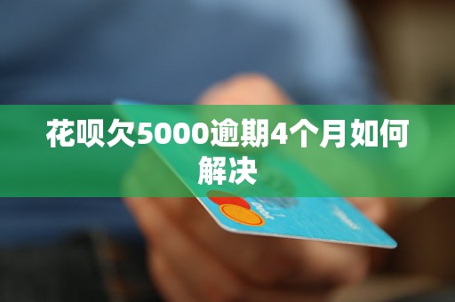 花呗欠5000逾期4个月如何解决