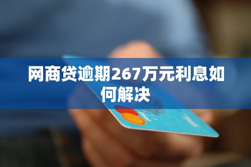 网商贷逾期267万元利息如何解决