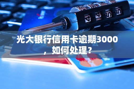 光大银行信用卡逾期3000，如何处理？