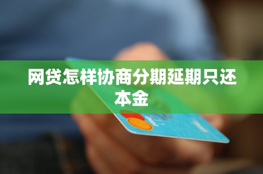 网贷怎样协商分期延期只还本金