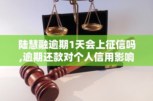 陆慧融逾期1天会上征信吗,逾期还款对个人信用影响大吗