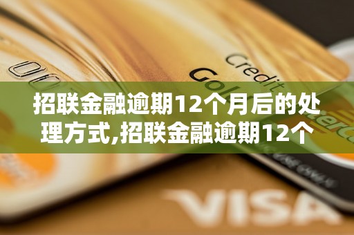 招联金融逾期12个月后的处理方式,招联金融逾期12个月后的债务解决方法