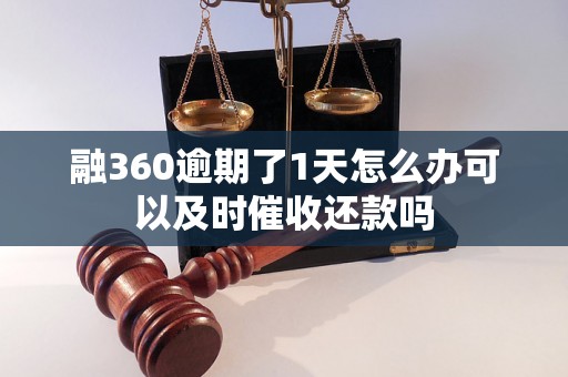 融360逾期了1天怎么办可以及时催收还款吗