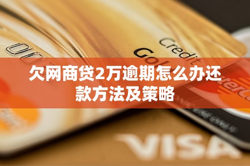 欠网商贷2万逾期怎么办还款方法及策略