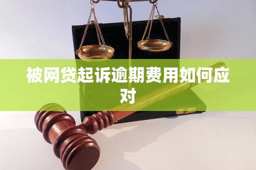 被网贷起诉逾期费用如何应对