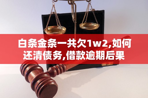 白条金条一共欠1w2,如何还清债务,借款逾期后果