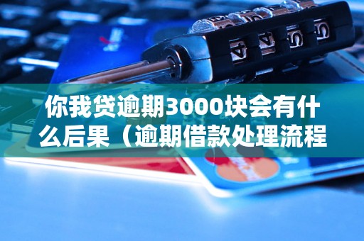 你我贷逾期3000块会有什么后果（逾期借款处理流程详解）