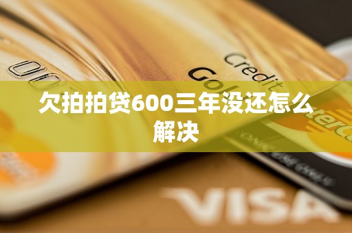 欠拍拍贷600三年没还怎么解决