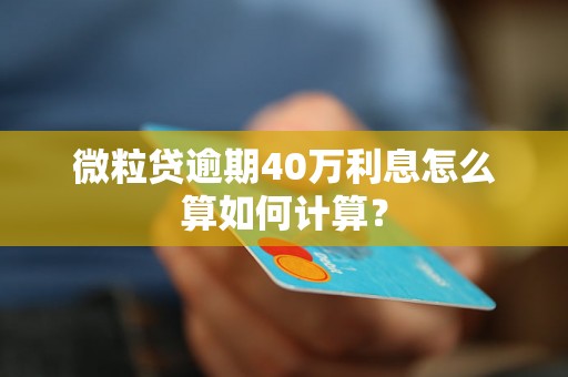 微粒贷逾期40万利息怎么算如何计算？