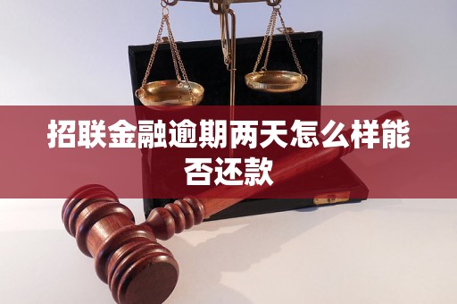 招联金融逾期两天怎么样能否还款