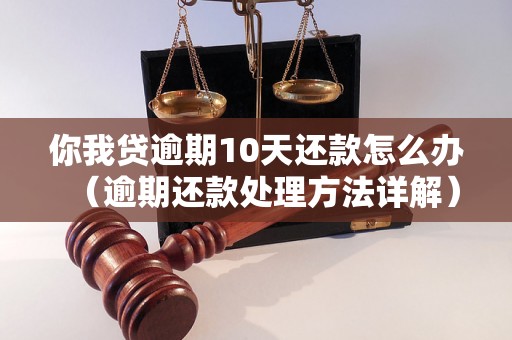 你我贷逾期10天还款怎么办（逾期还款处理方法详解）