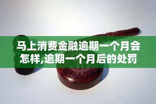 马上消费金融逾期一个月会怎样,逾期一个月后的处罚措施