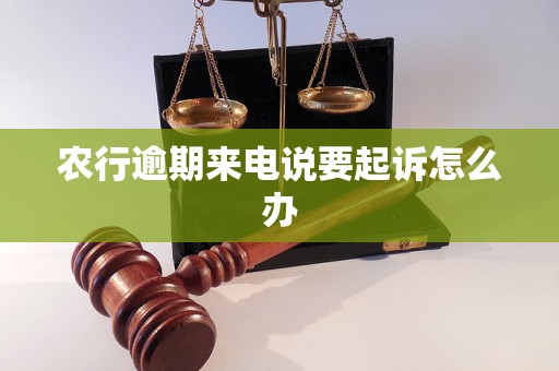 农行逾期来电说要起诉怎么办