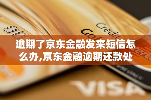 逾期了京东金融发来短信怎么办,京东金融逾期还款处理流程