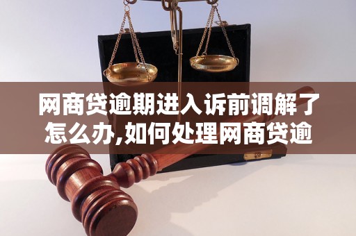 网商贷逾期进入诉前调解了怎么办,如何处理网商贷逾期进入诉前调解的情况